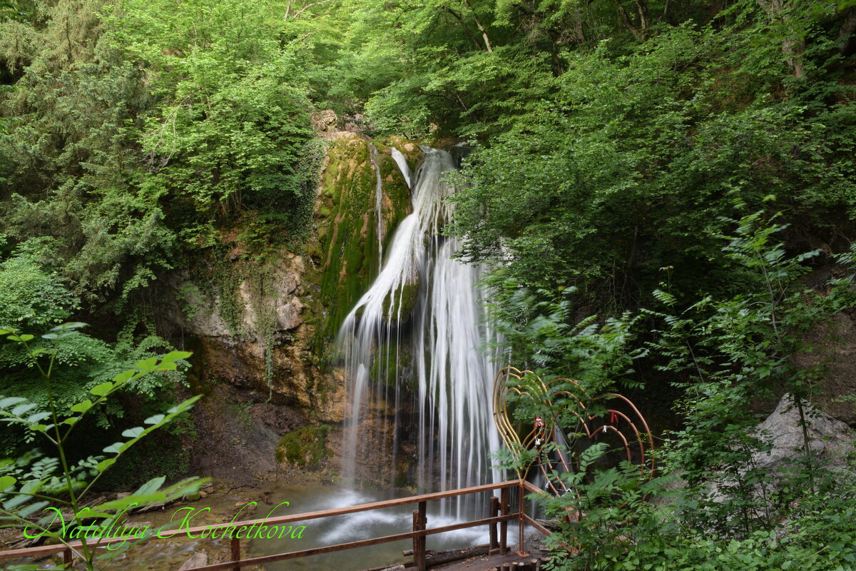 Природа Крыма - Amazing Cosmea