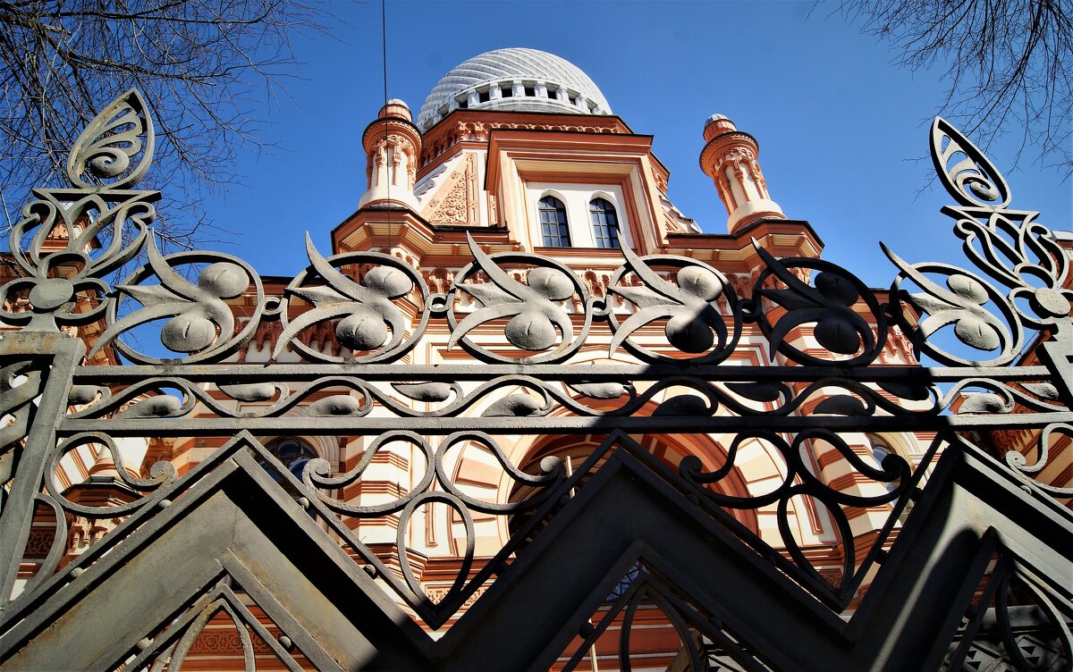 СИНАГОГА СПБ - Виктор Никитенко