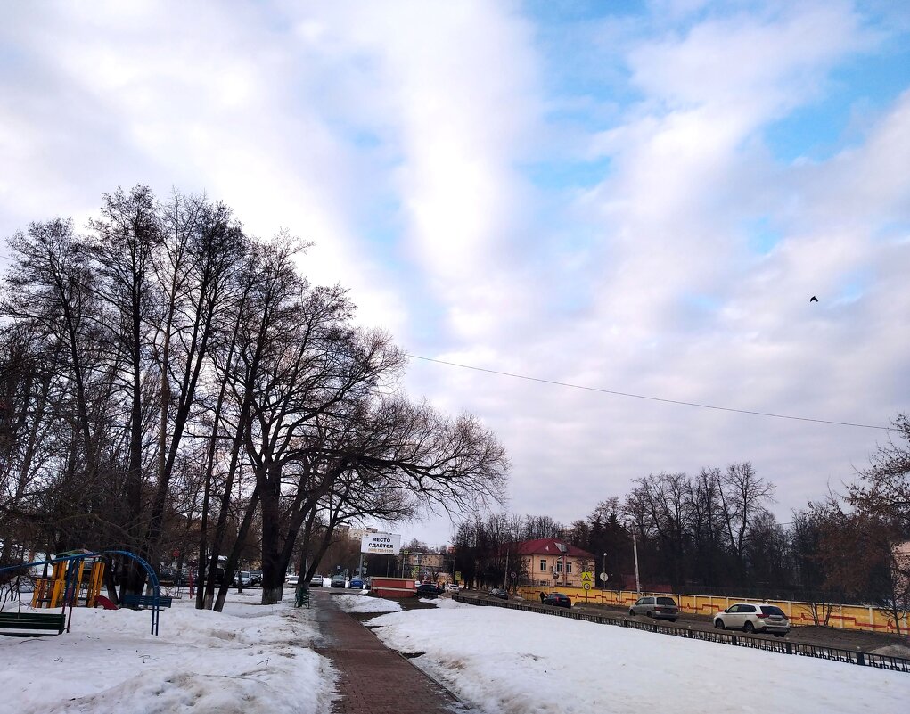 Зимним утром - Елена Семигина