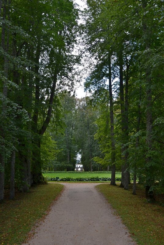 ПЕТРОВСКОЕ, вотчина Ганнибалов. - Виктор Осипчук ПЕТРОВСКОЕ, вотчина Ганнибалов. - Виктор Осипчук
