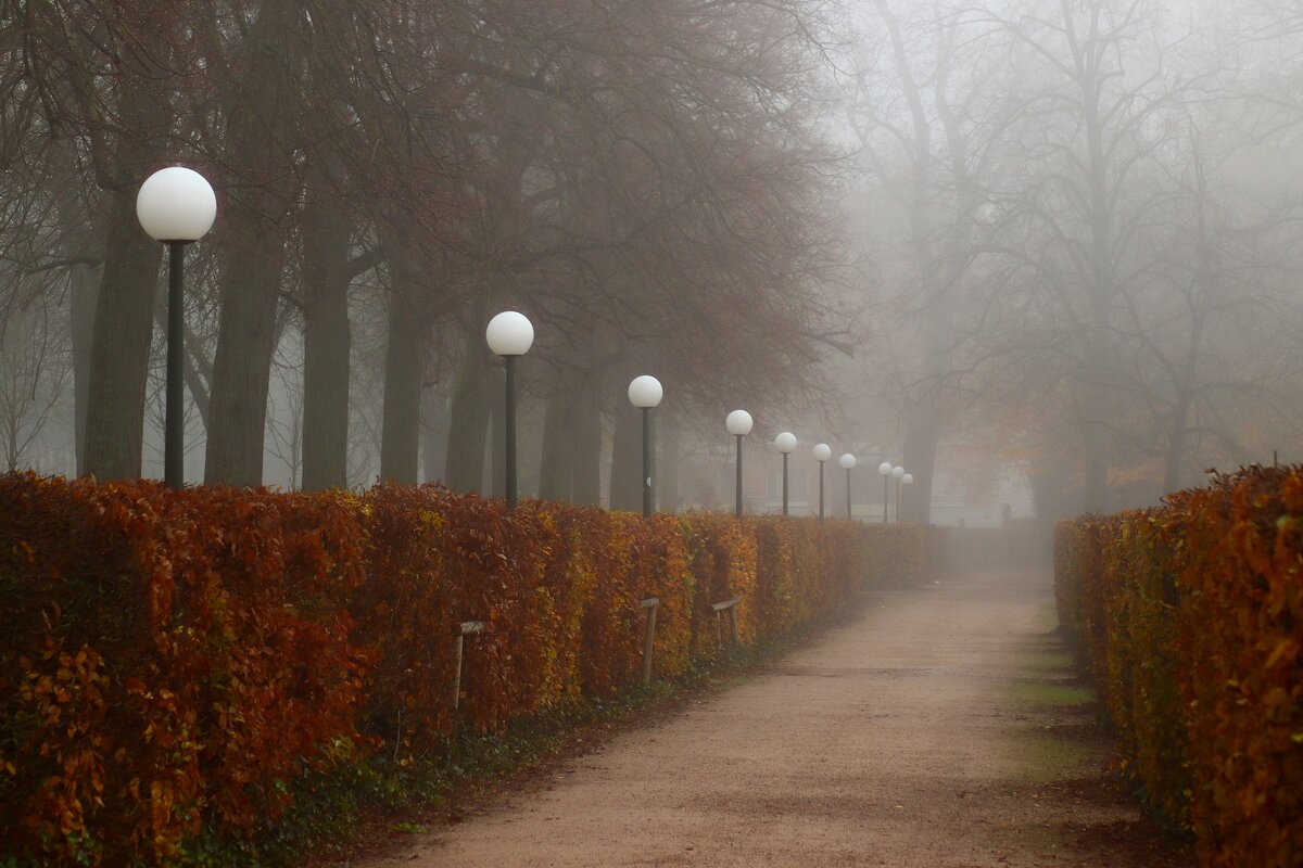 Туман окутал парк - Юрий. Шмаков
