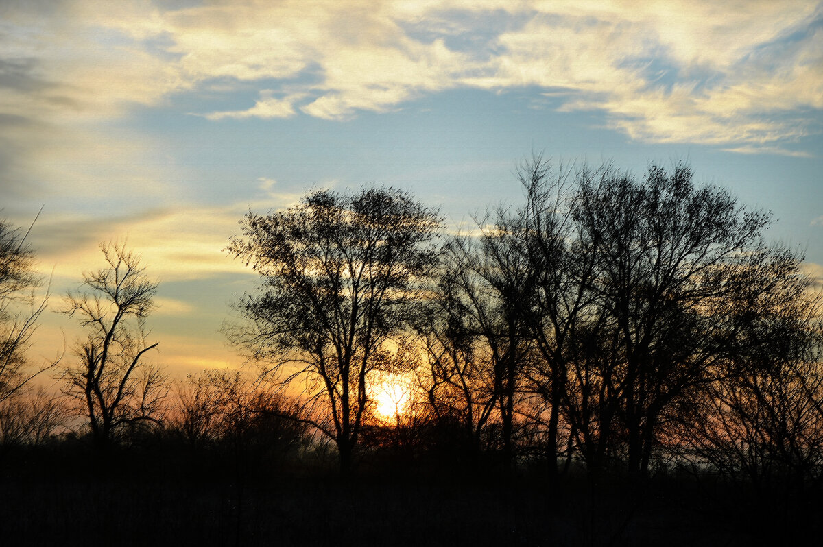 Осеннее утро... - Надежда Куркина 