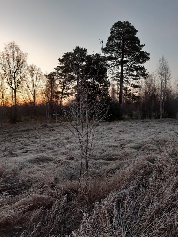 На рассвете дня в ноябре - Галина Минчук