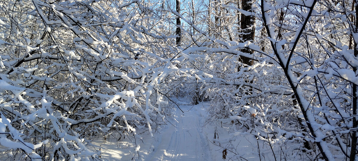Снежная сказка!!! - Радмир Арсеньев