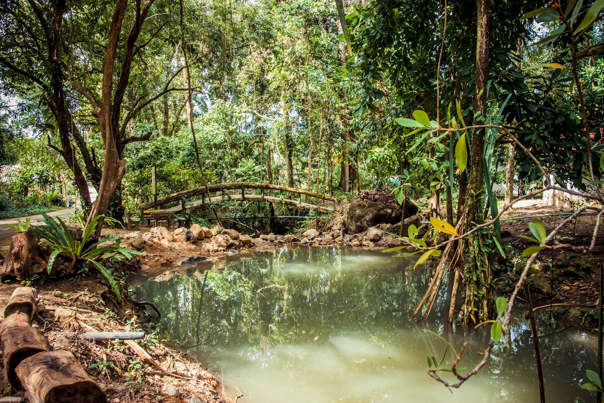 Мостик - Максим 