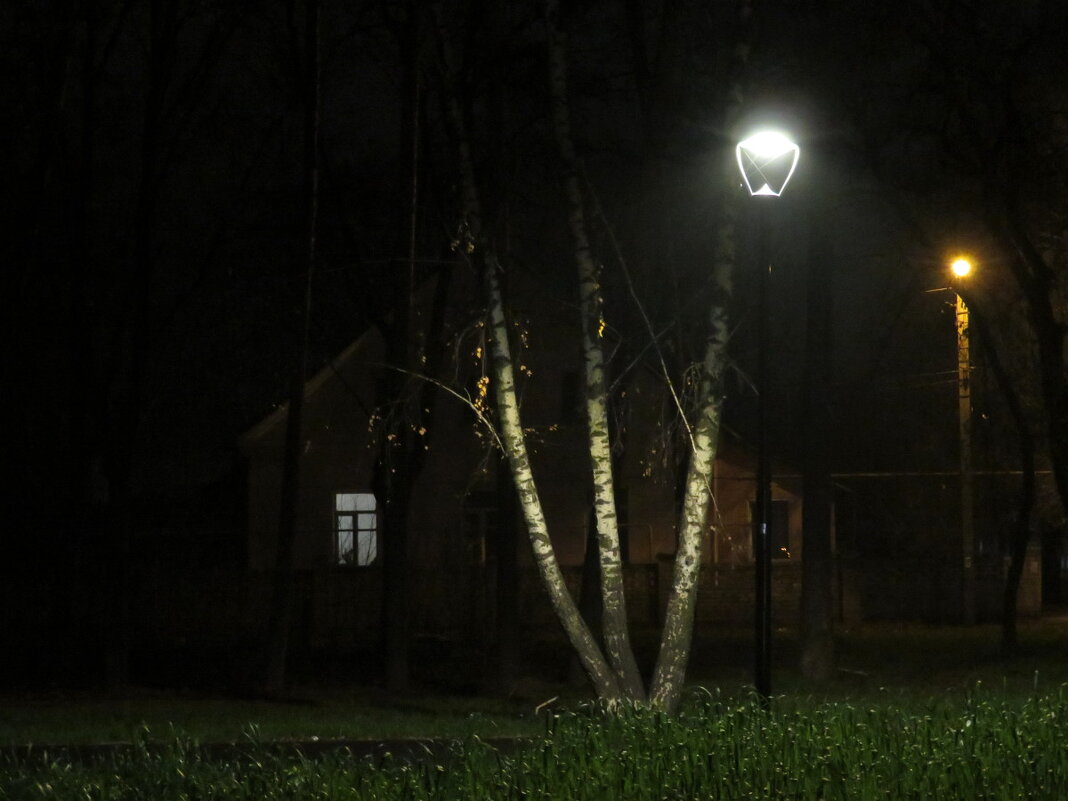 А в домике уютно и тепло. - Егор Бабанов