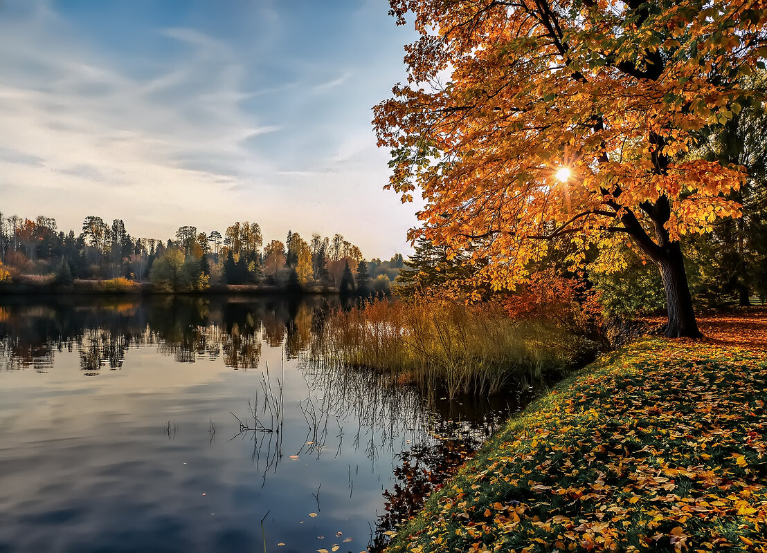 осень на реке - Юрий Лев