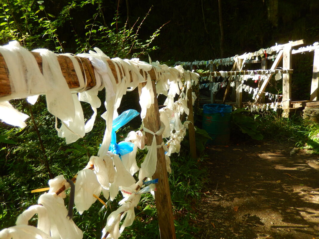 Странная традиция - Павел Трунцев