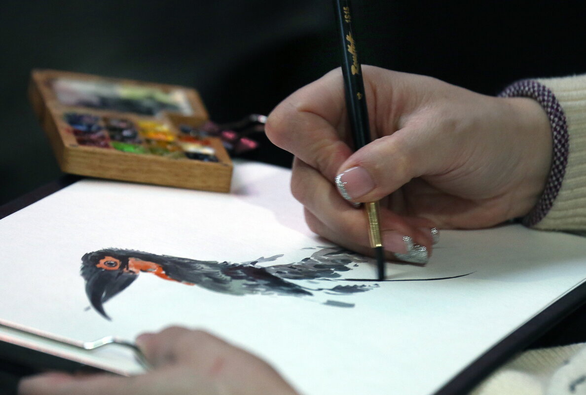 кафрский ворон - Михаил Бибичков