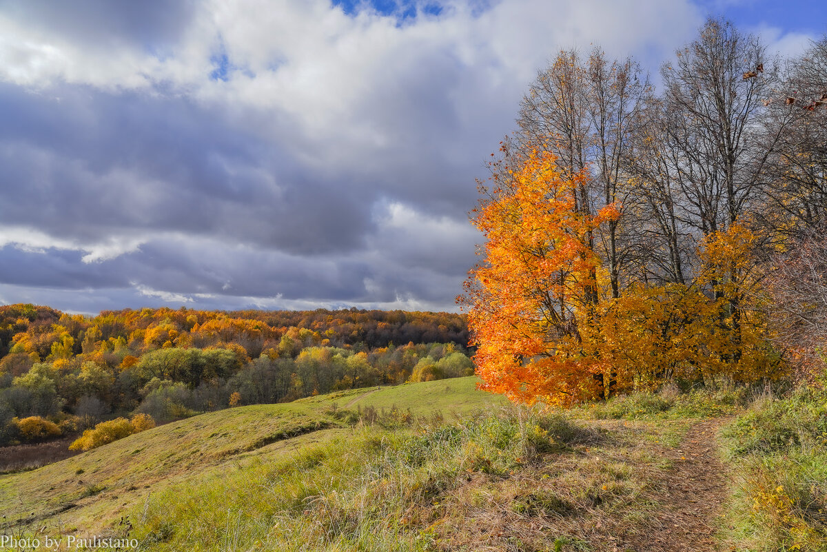 Октябрь в Царицыно... - Владимир Жданов