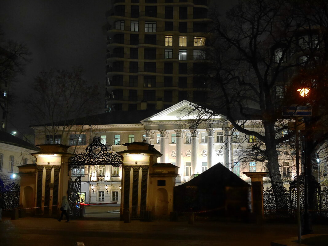 Усадьба Демидовых в Толмачёвском переулке - Наталья Rosenwasser