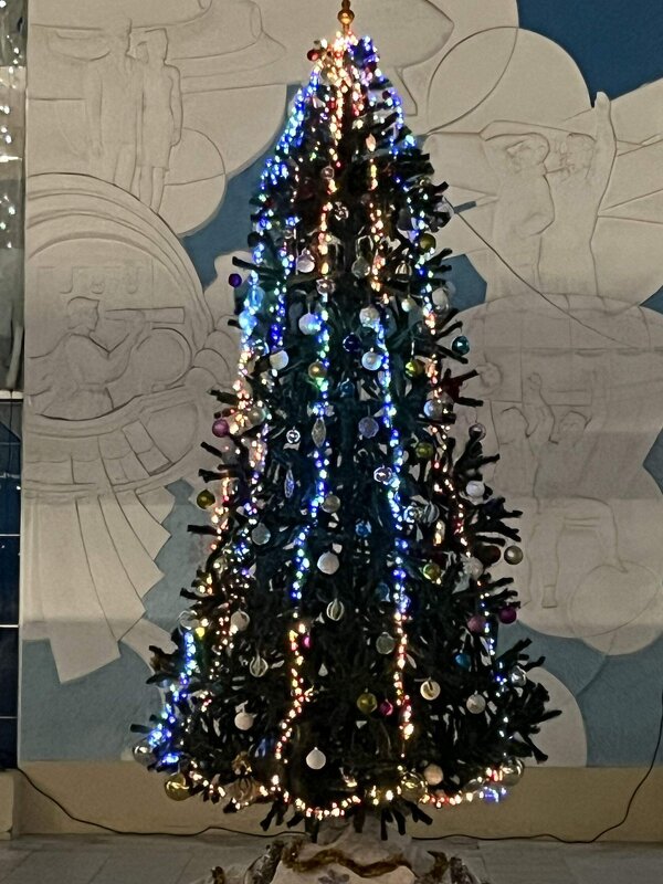 Это наша ёлка - Дмитрий Никитин