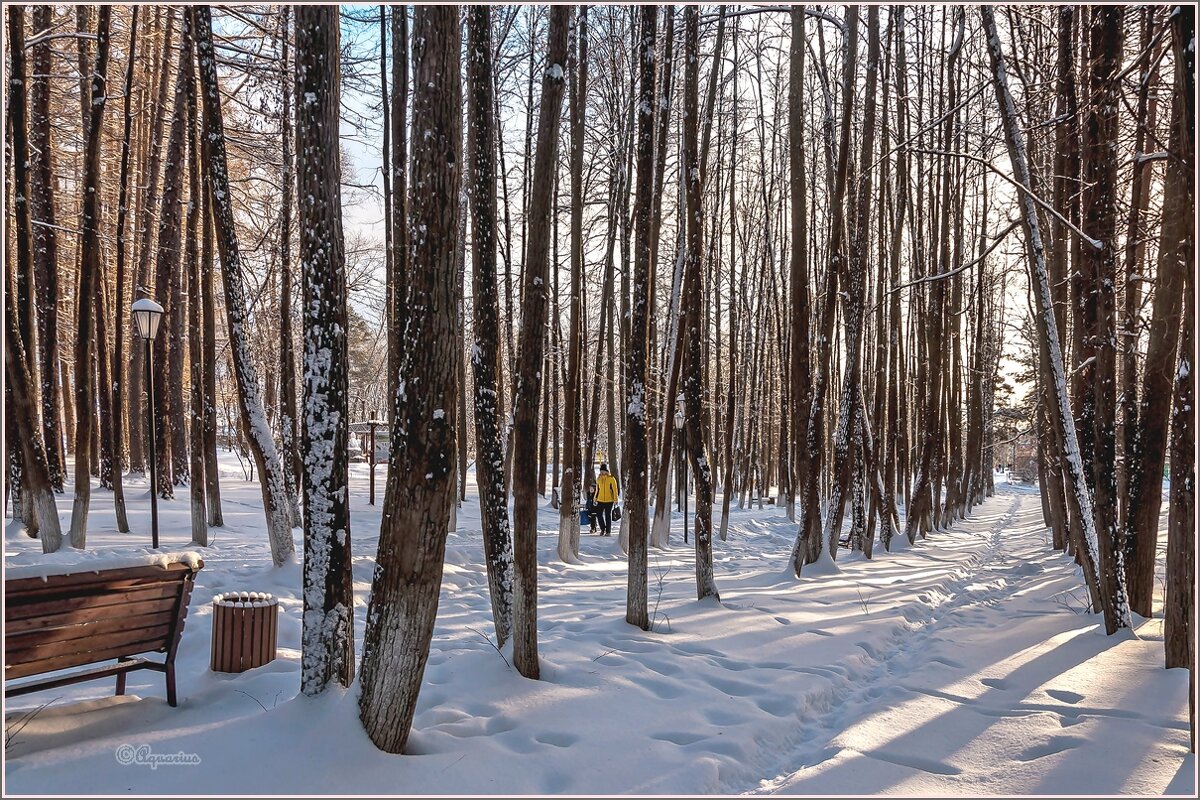 Про зиму... - Aquarius - Сергей