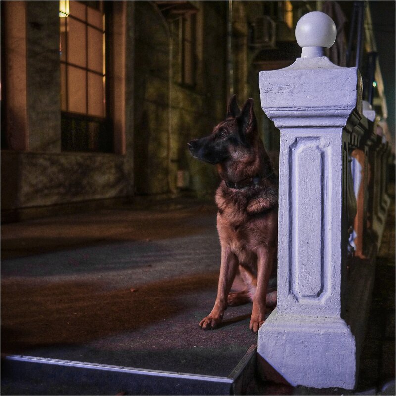 Настоящий друг - Сергей В