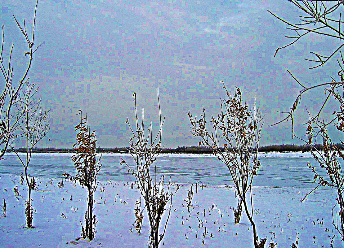 Ноябрь...Сливаются земля и небо в светло-голубую тональность! - Владимир Ноябрь...Сливаются земля и небо в светло-голубую тональность! - Владимир