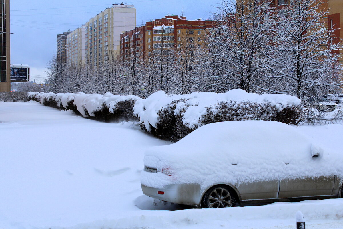 Опять метель... - Татьяна Лютаева