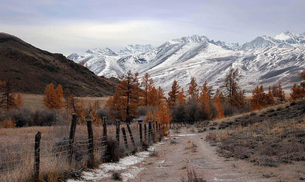 Предзимье на Курае - елена беликова