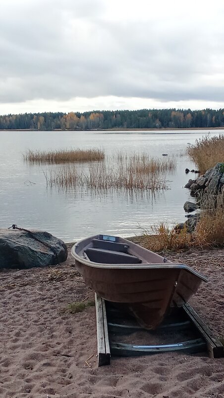 **** - Ольга Попова (popova/j2011)