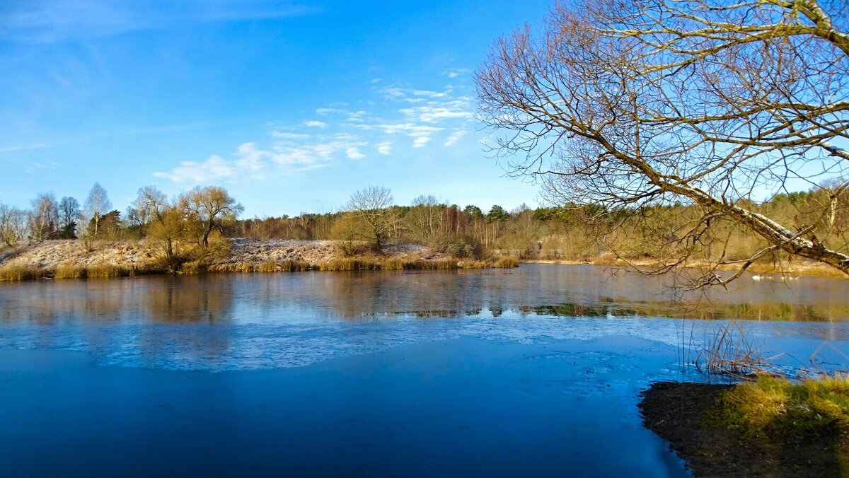 Осень в конце ноября (репортаж из поездок по области). - Милешкин Владимир Алексеевич 