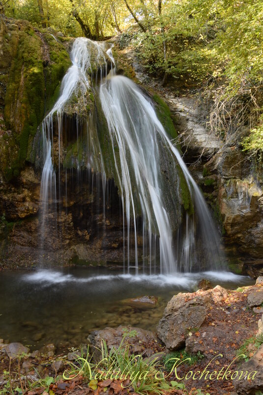 Природа Крыма - Amazing Cosmea