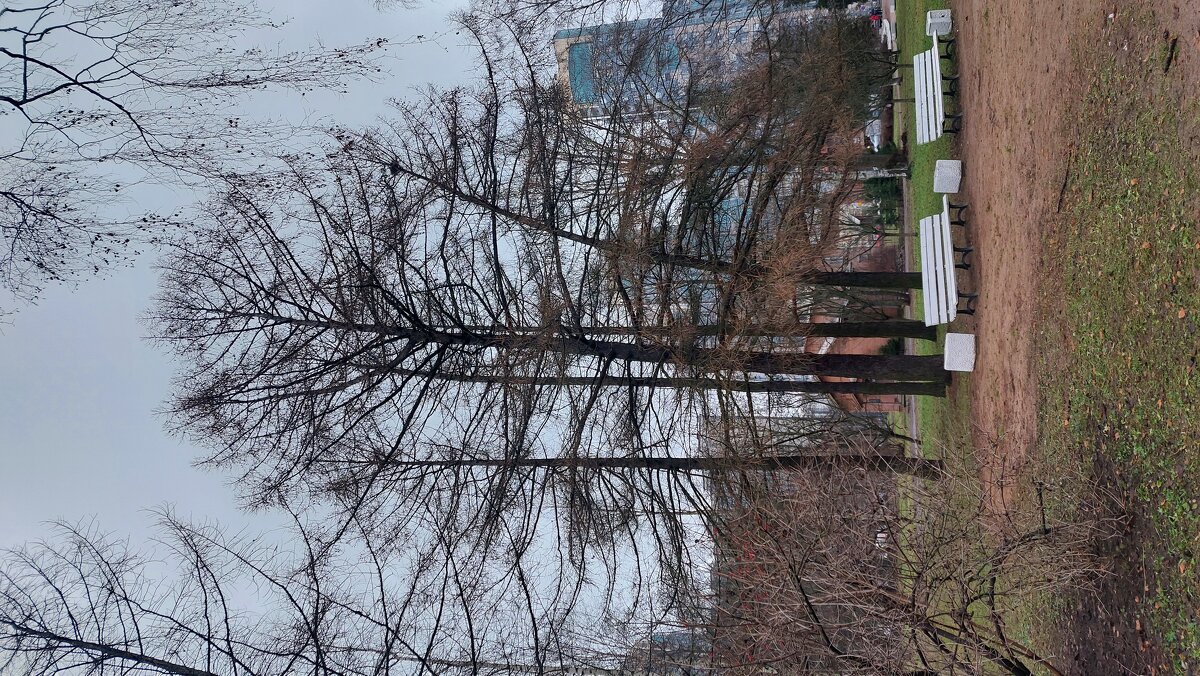 Веселая компания - Максим Егоров