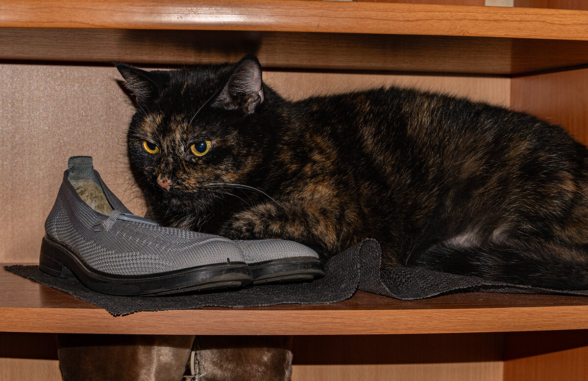 Охрана - Ирина Соловьёва