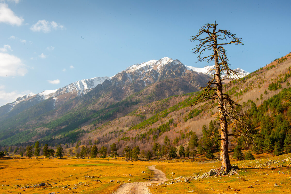 Ущелье Аксаут. - Аnatoly Gaponenko