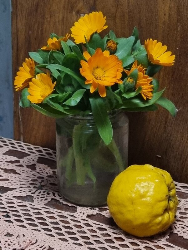 Календула и айва - Наталья 