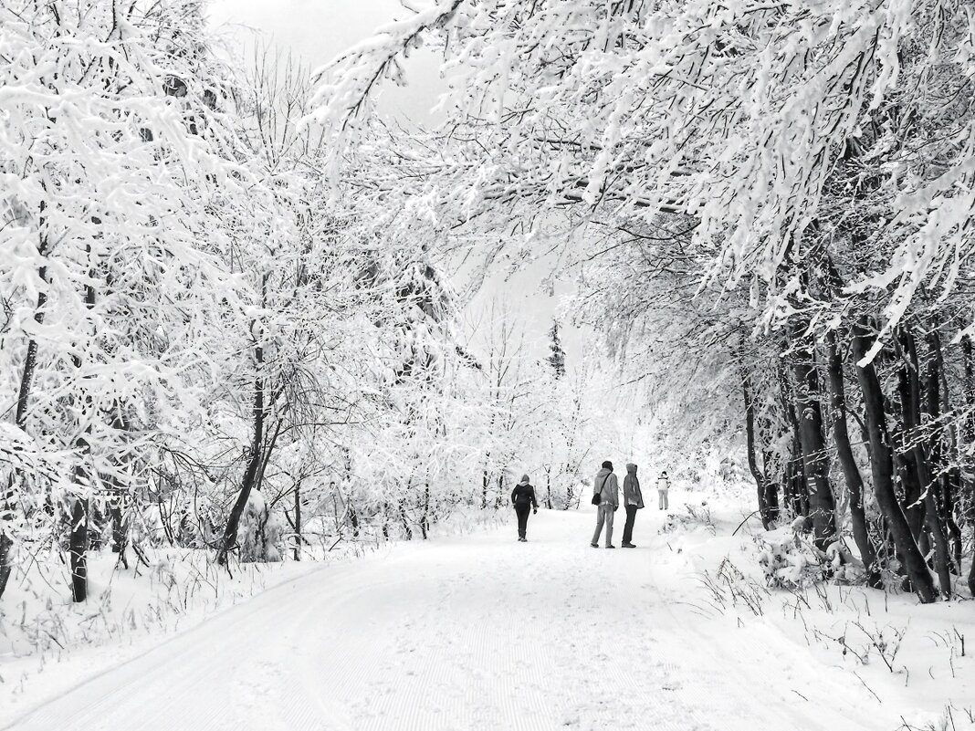 zima - Jiří Valiska