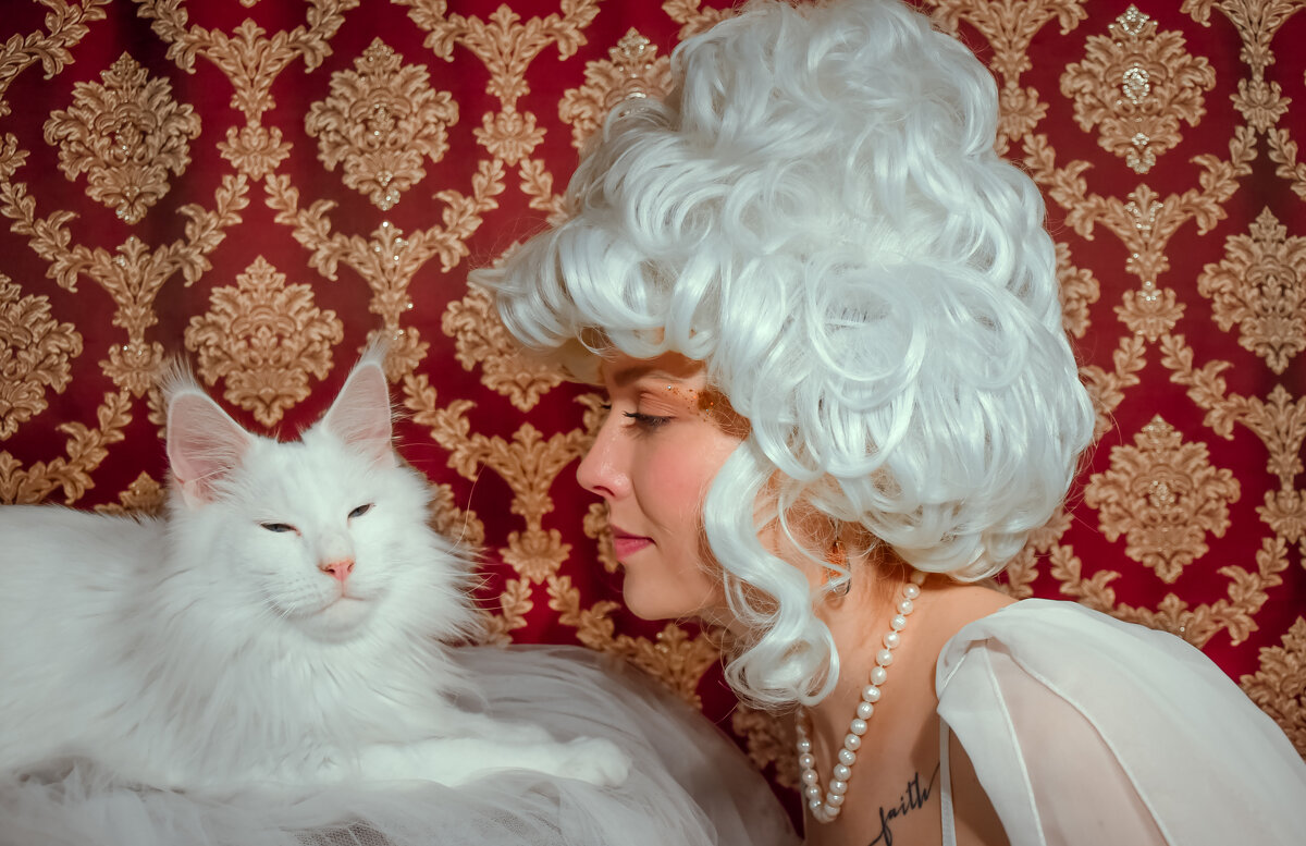 Кошечки - Ольга Зинченко