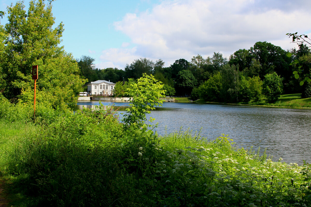 Верхний Кузьминский пруд - Игорь Белоногов