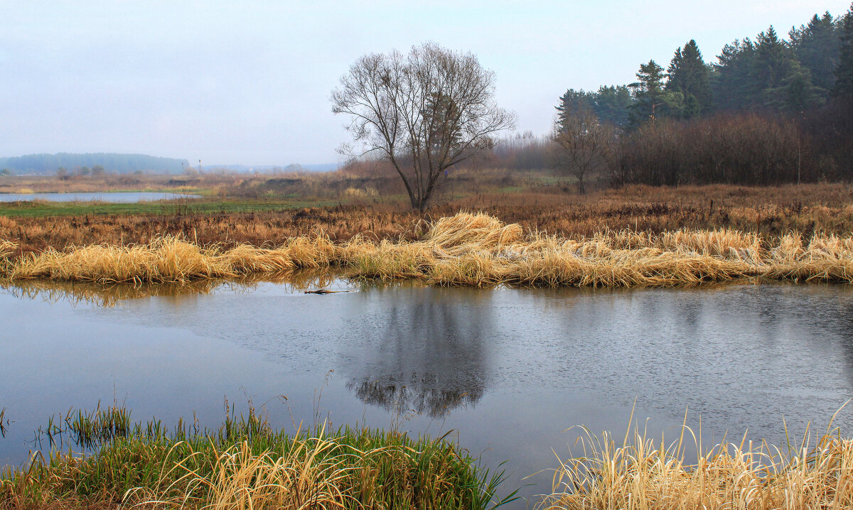 первый лед - Владимир Зеленцов первый лед - Владимир Зеленцов