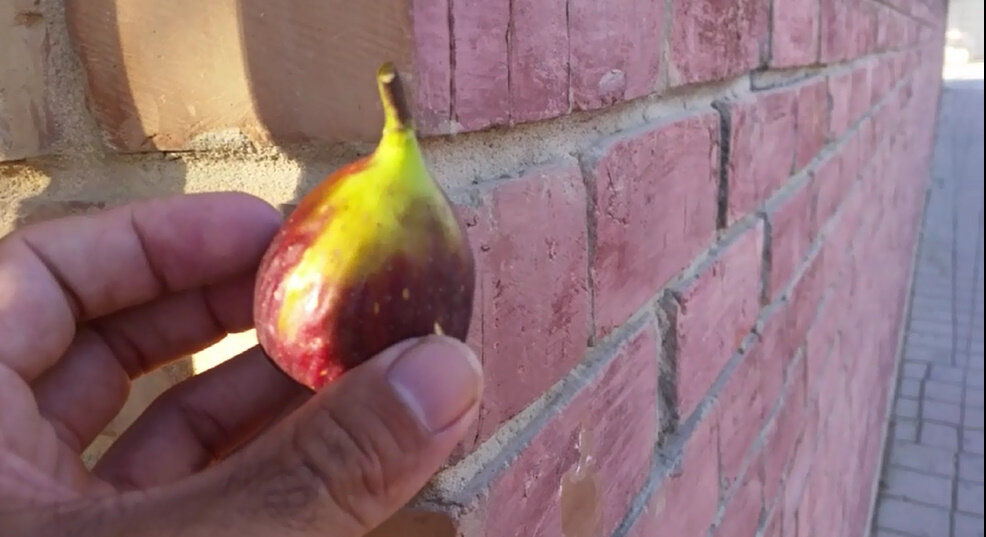 114 (192) - CLOSE WAYS ALL