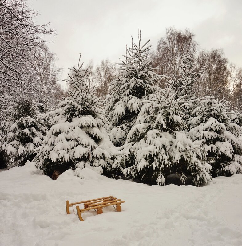 В дендропарке - Nataly St. 
