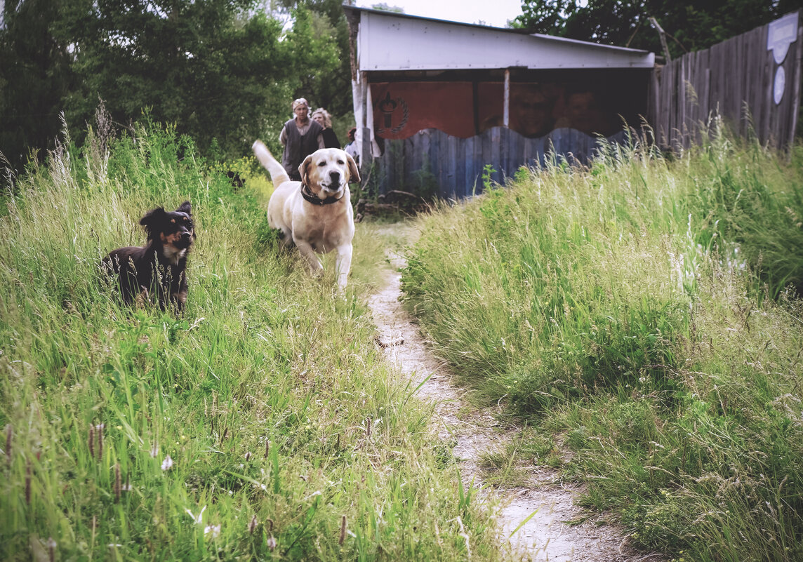 На чужой территории - Сергей Царёв На чужой территории - Сергей Царёв