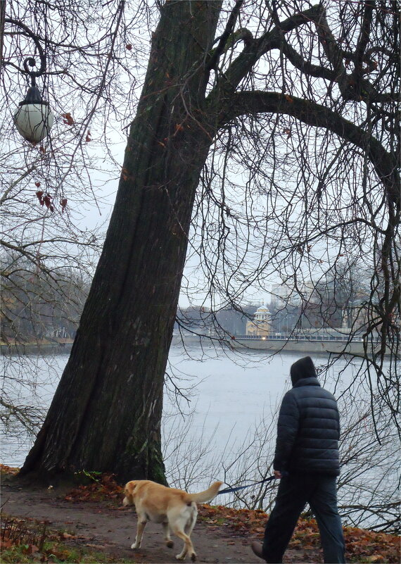 прогулка с собакой на Большой Невке - sv.kaschuk 