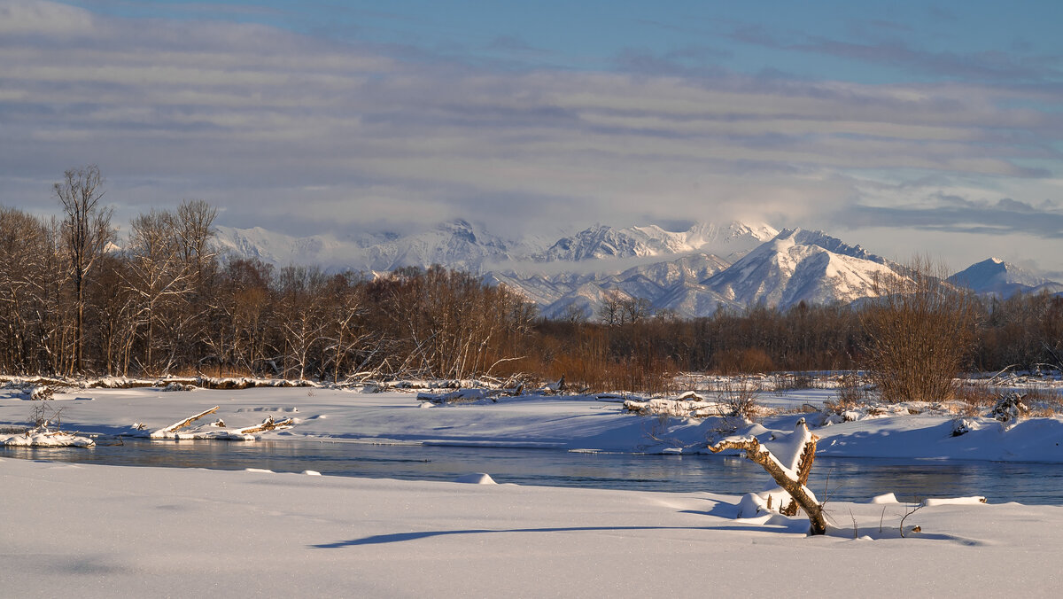 ... - Жора Житников ... - Жора Житников