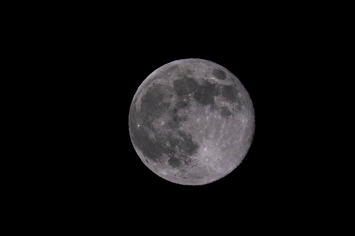 Луна в декабре - Виктор Иванович Чернюк