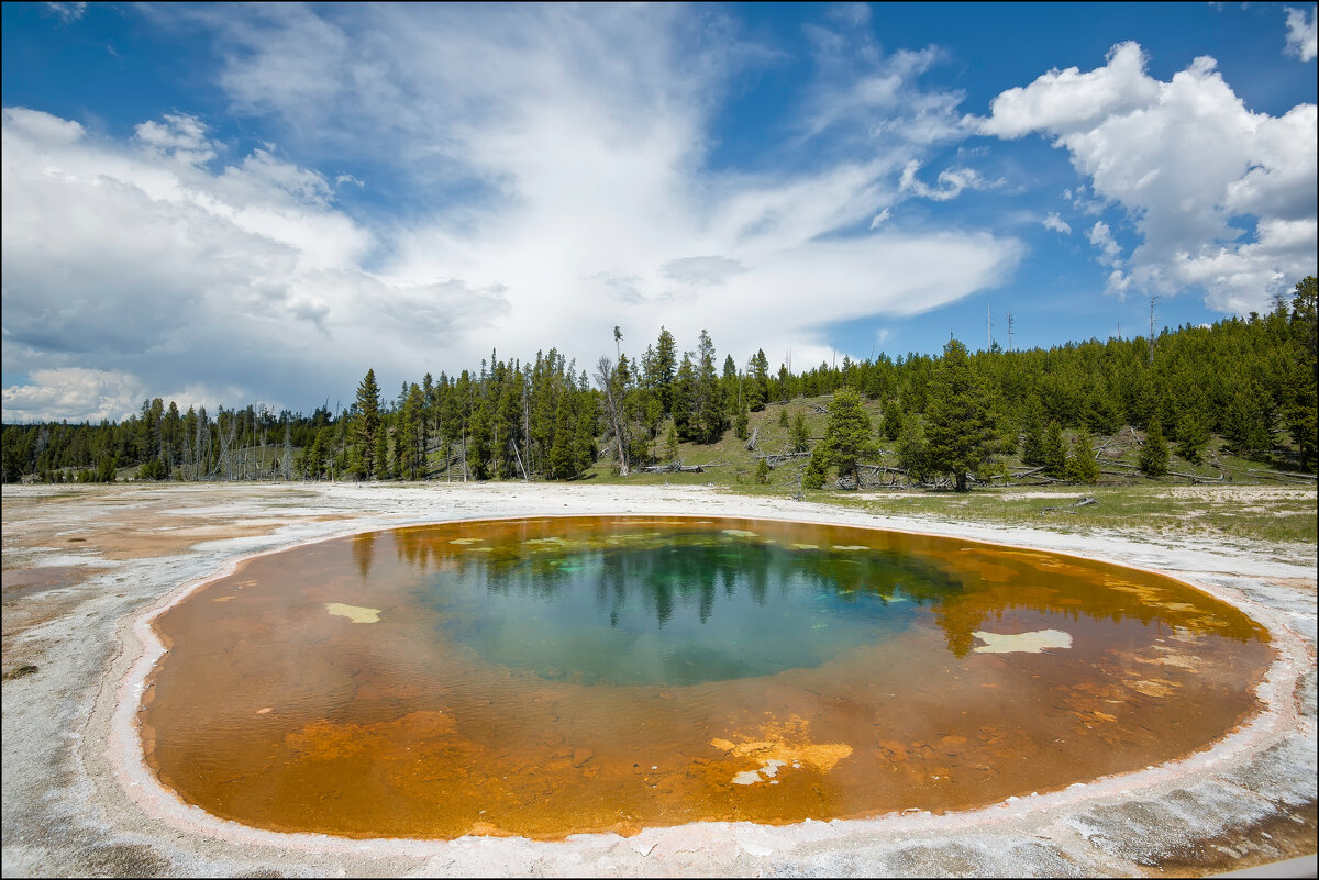 Йеллоустоун - **** vedin