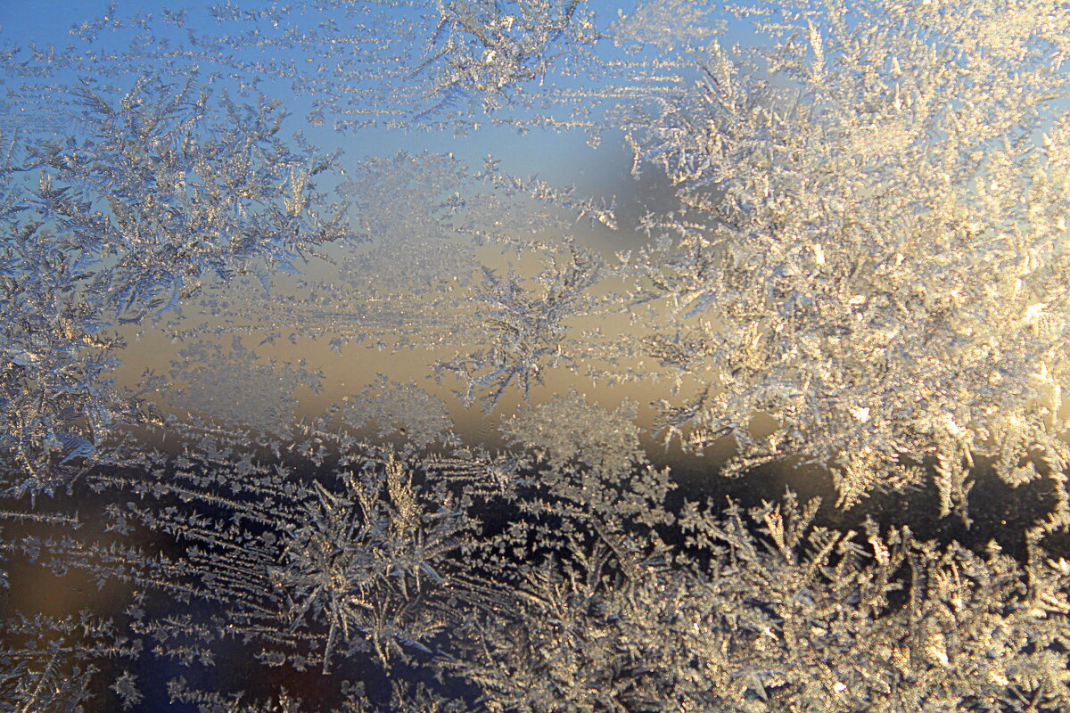 Ура! - мороз и солнце! - Татьяна Лютаева Ура! - мороз и солнце! - Татьяна Лютаева