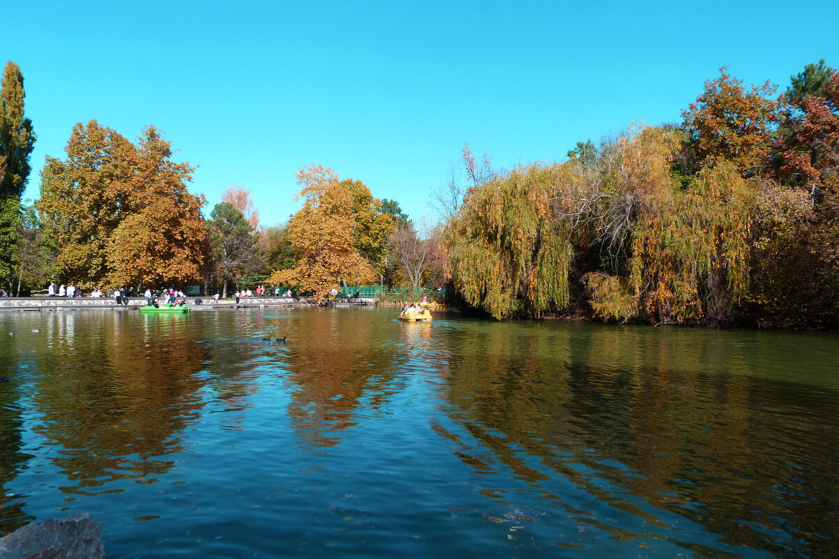 Пейзажи  Гагаринского парка - Валентин Семчишин