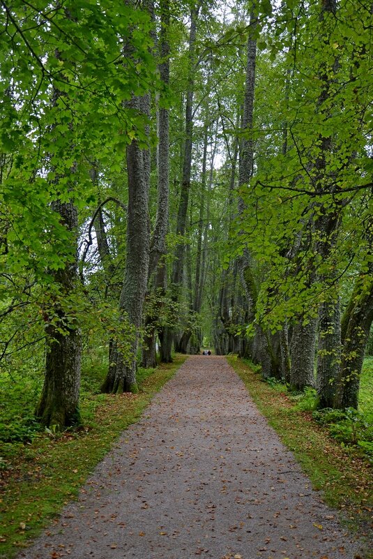 ПЕТРОВСКОЕ, вотчина Ганнибалов. - Виктор Осипчук ПЕТРОВСКОЕ, вотчина Ганнибалов. - Виктор Осипчук