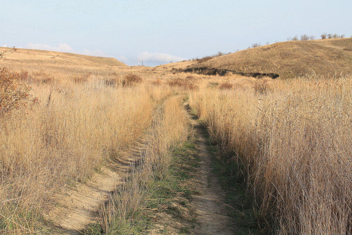 Тропинка узенькая вьется... - Ирина Тропинка узенькая вьется... - Ирина