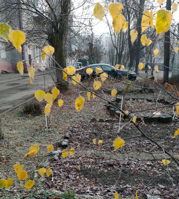 *** - Валентина Береснева