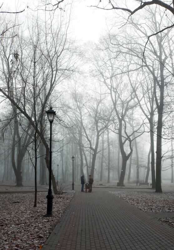 *** - Валентина Береснева