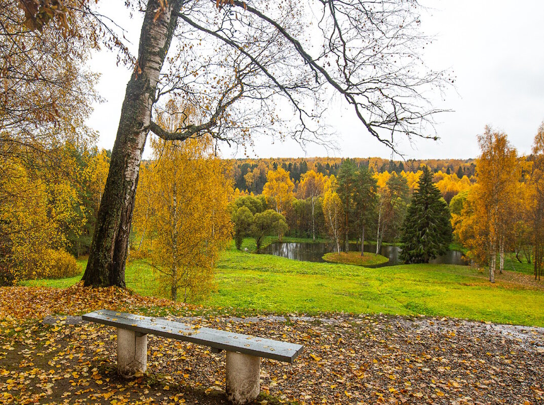 Щёлыково» - музей-заповедник  А. Н. Островского - Ольга Довженко