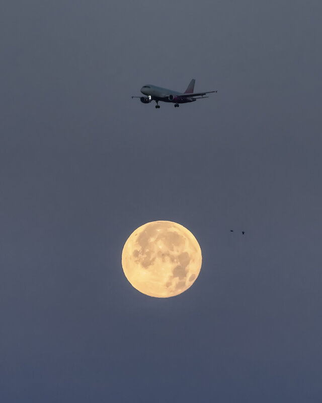 Про Питер - Владимир Колесников