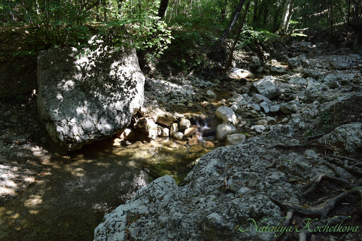 Природа Крыма - Amazing Cosmea