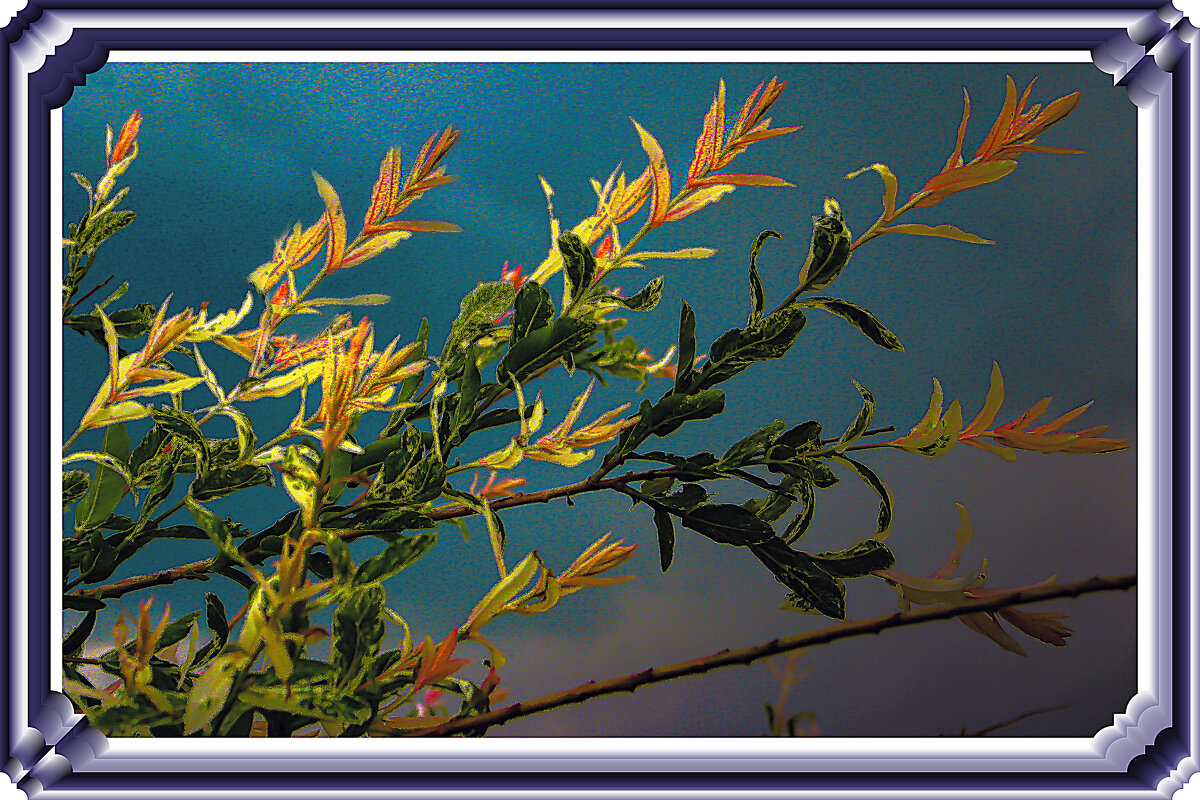 Дыхание осени - Владимир Кроливец Дыхание осени - Владимир Кроливец