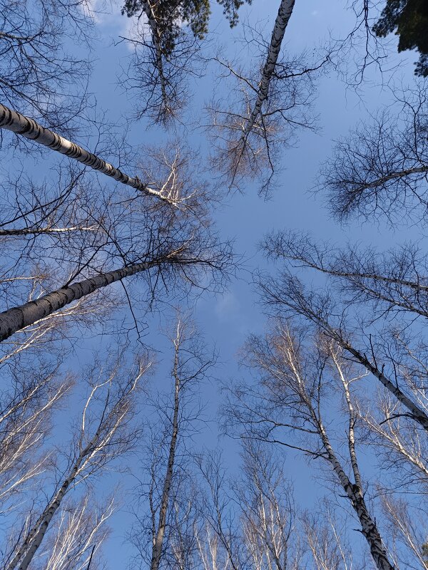 Осень - ura Зелев